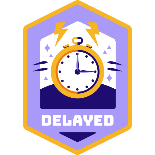 Delay in Project Completion
