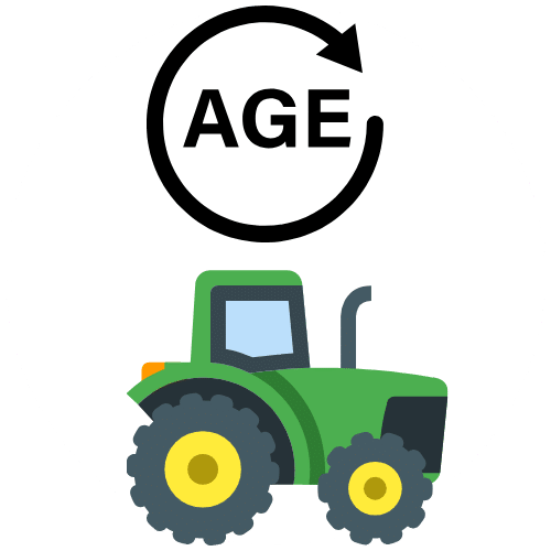 Vehicle Age