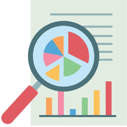 Surveyor's Report